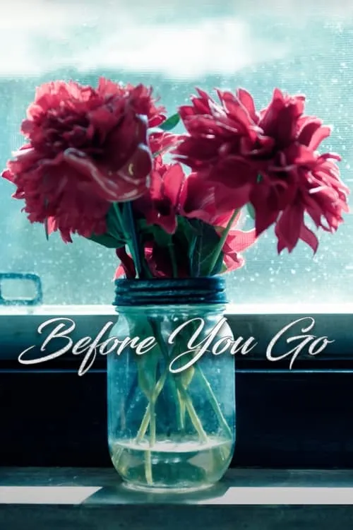 Before You Go (movie)