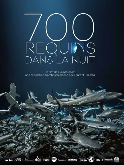 700 requins dans la nuit (фильм)