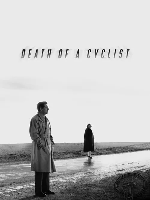 Смерть велосипедиста