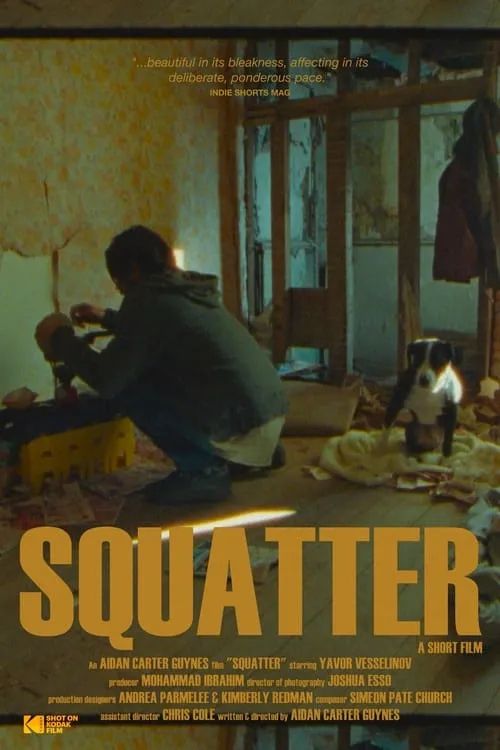 Squatter (фильм)