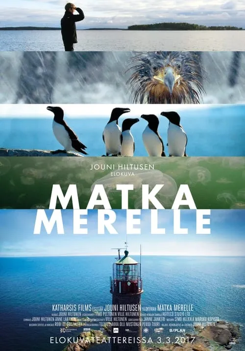 The Gulf of Finland (movie)