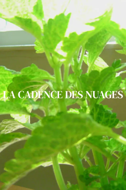 La cadence des nuages (фильм)