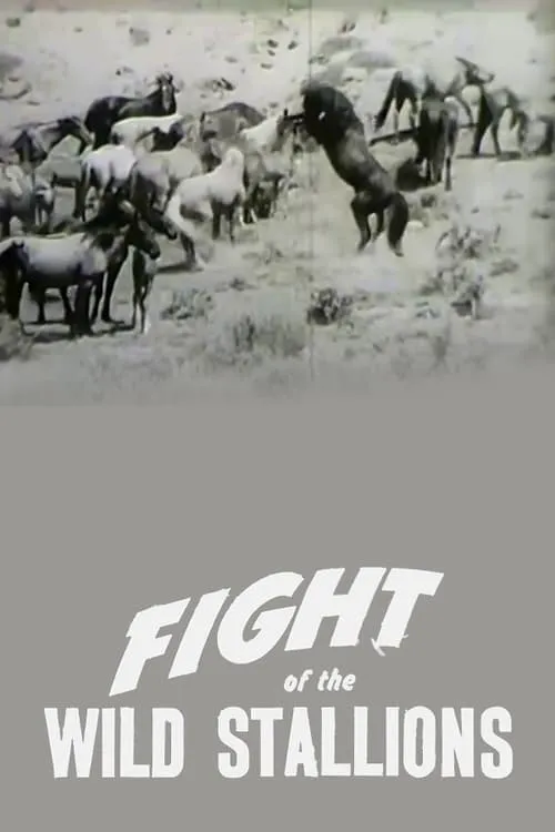 Fight of the Wild Stallions (movie)