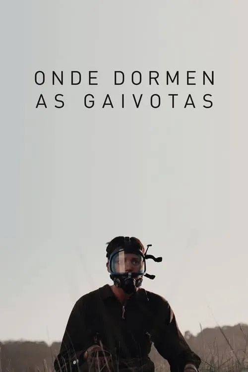 Onde dormen as gaivotas (фильм)