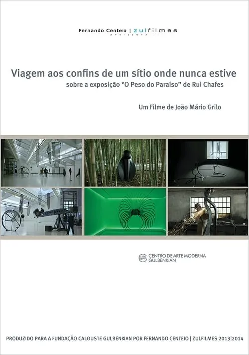 Viagem aos Confins de um Sítio Onde Nunca Estive (фильм)