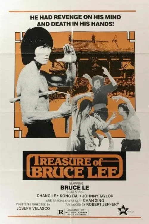 Treasure of Bruce Le (movie)