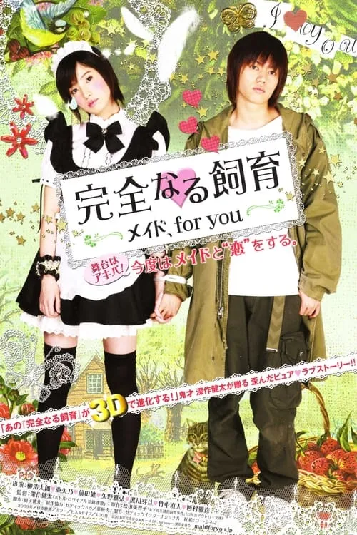 Perfect Education: A Maid for You (movie)