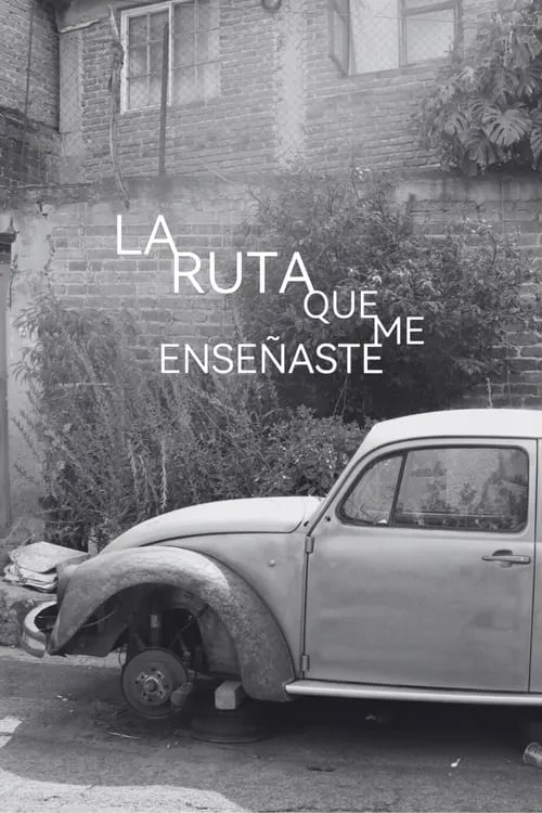 La ruta que me enseñaste (фильм)