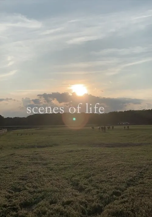 scenes of life (фильм)