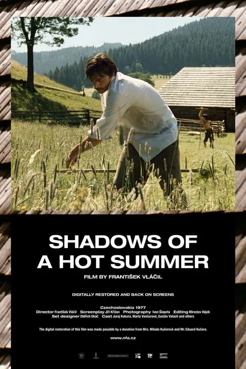 Shadows of a Hot Summer
