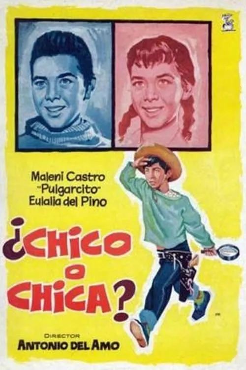 ¿Chico o chica? (фильм)