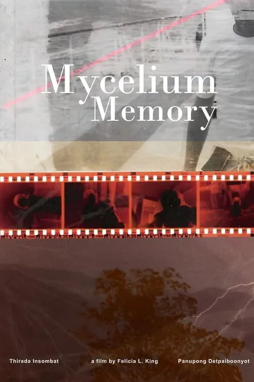 Mycelium Memory (movie)