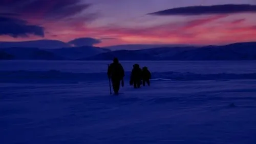 Arctic: Life in the Deep Freeze