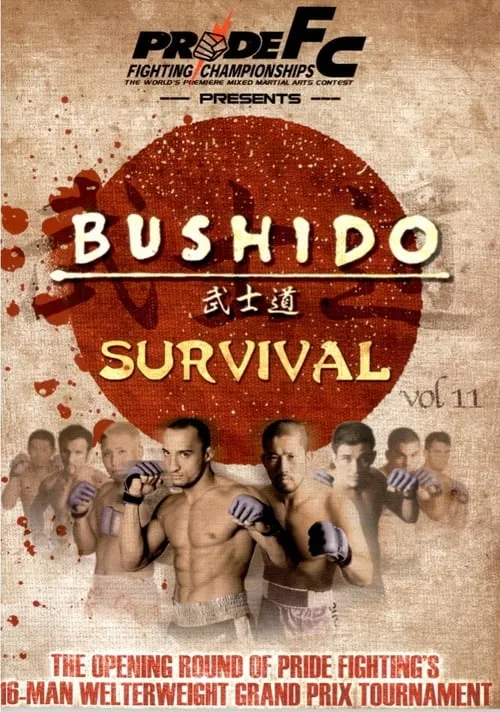 Pride Bushido 11 (фильм)