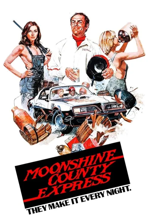 Moonshine County Express (movie)