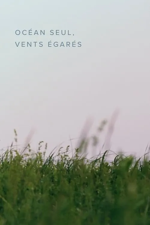 Océan seul, vents égarés (фильм)