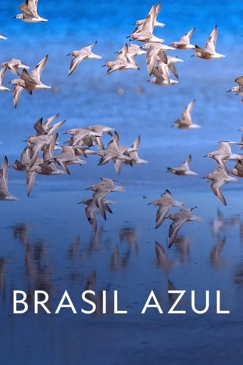 Brasil Azul (фильм)