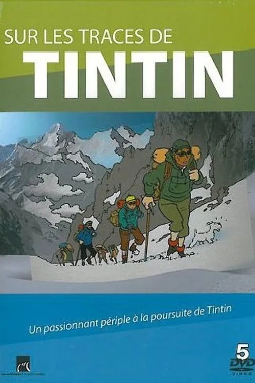 Sur les traces de Tintin (сериал)