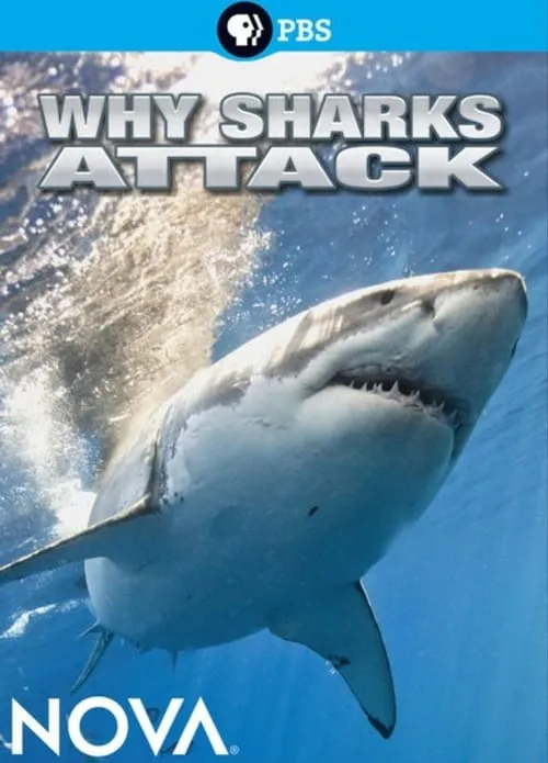 Why Sharks Attack (movie)