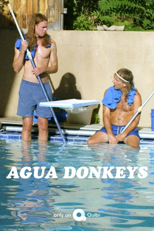 Agua Donkeys (series)