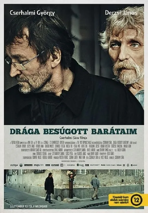 Drága besúgott barátaim (фильм)