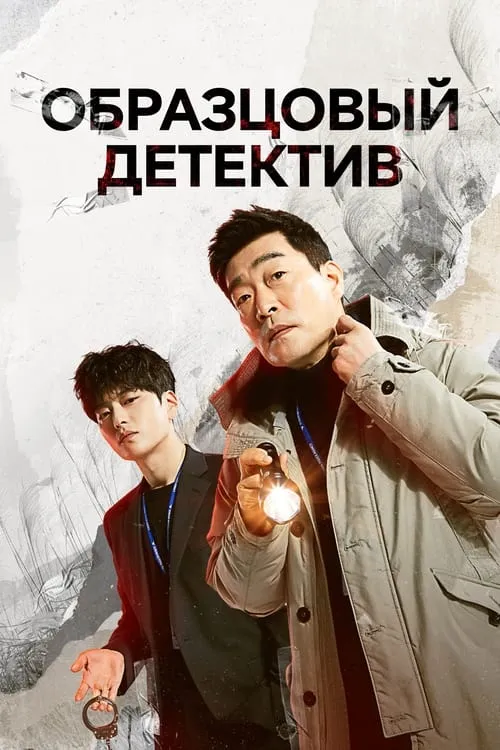 Образцовый детектив (сериал)