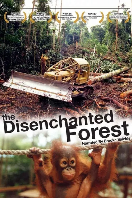 Disenchanted Forest (movie)