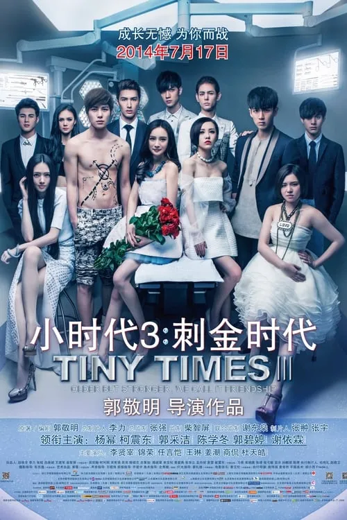 Tiny Times 3 (movie)