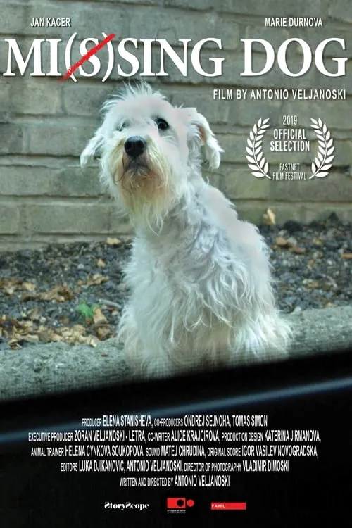 Mi(s)sing Dog (movie)