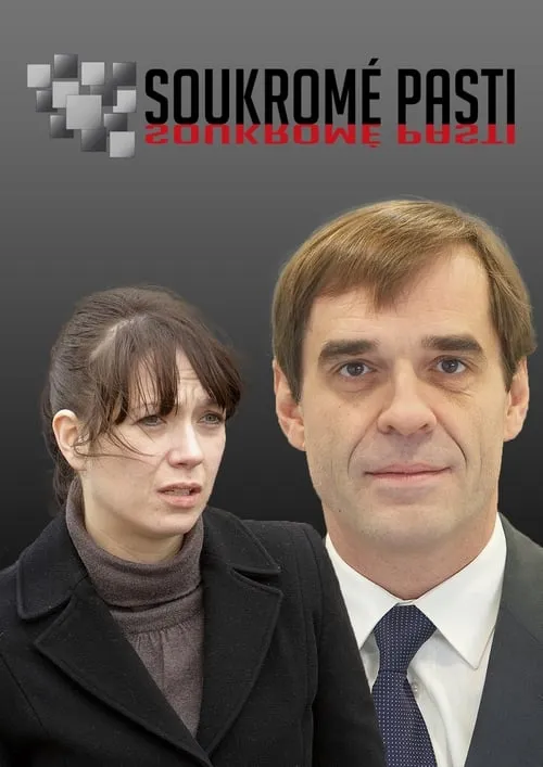 Soukromé pasti (сериал)