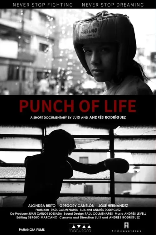 Punch of Life (movie)