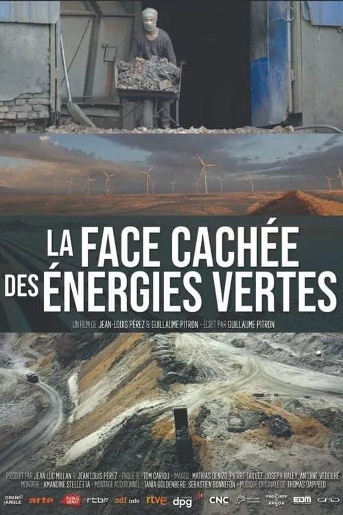 La face cachée des énergies vertes (фильм)