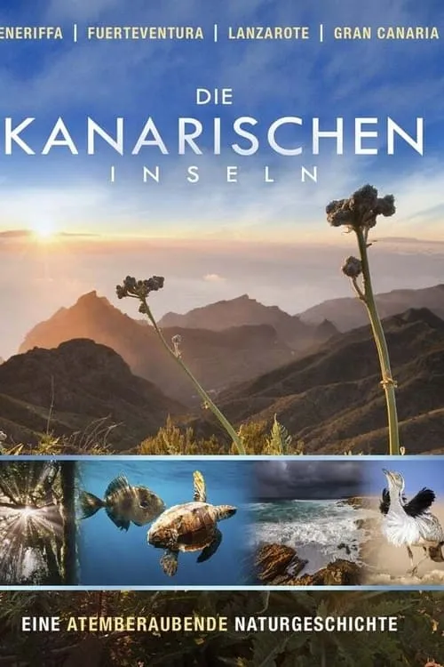 Die Kanarischen Inseln (series)