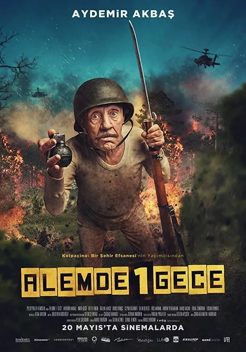 Alemde Bir Gece (фильм)