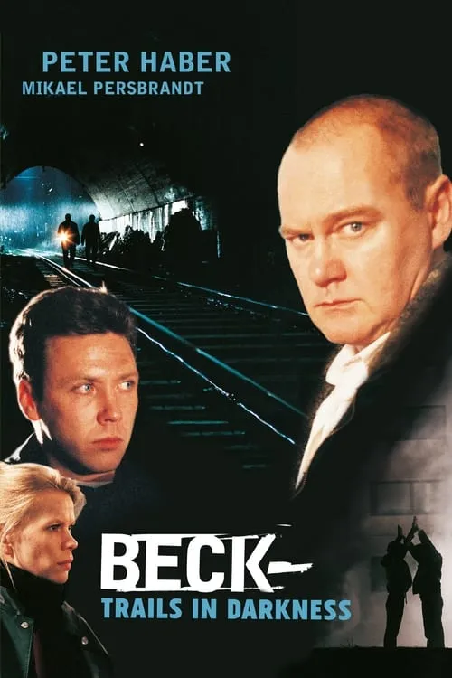 Beck - Spår i mörker (movie)