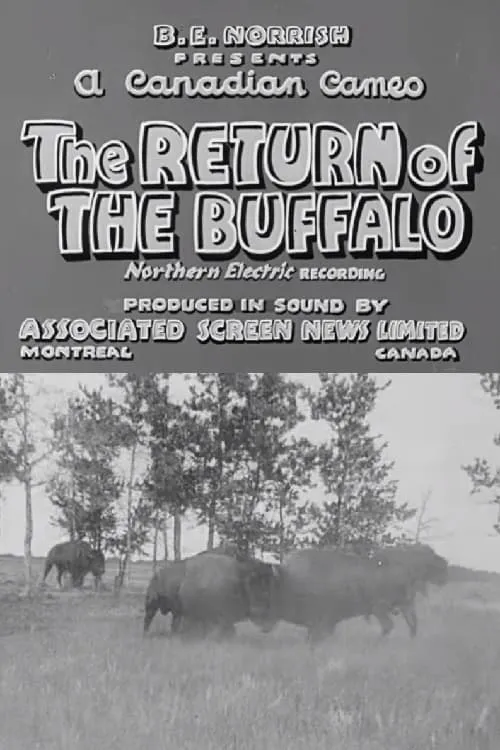 Return of the Buffalo (фильм)