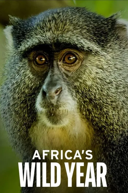 Africa's Wild Year (сериал)