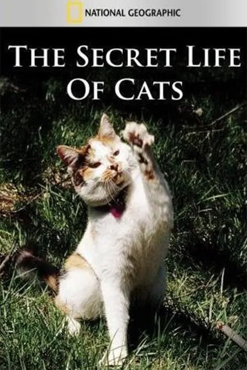 The Secret Life of Cats