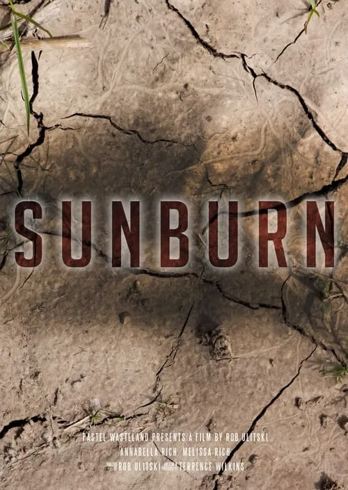 Sunburn (movie)