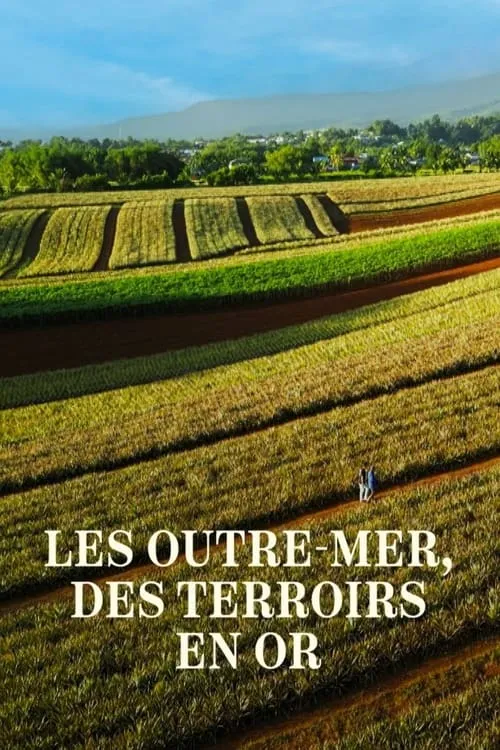 Les Outre-mer, des terroirs en or (movie)