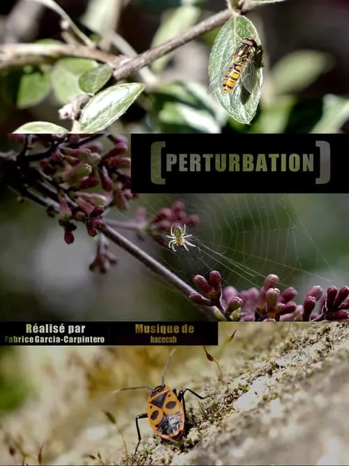 Perturbation (movie)