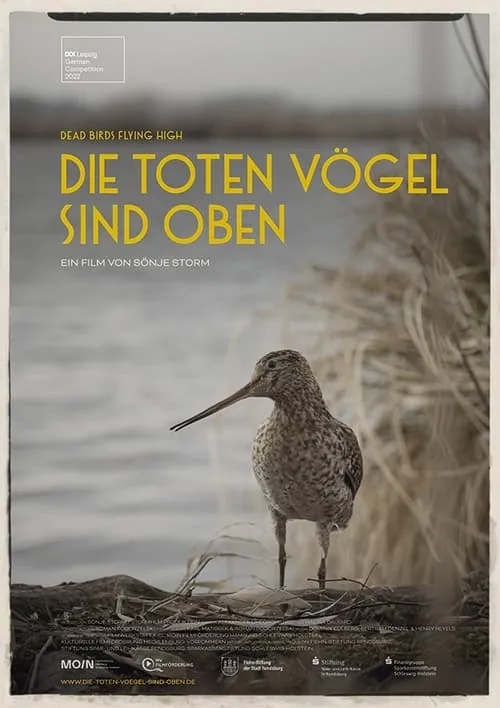 Die toten Vögel sind oben (фильм)