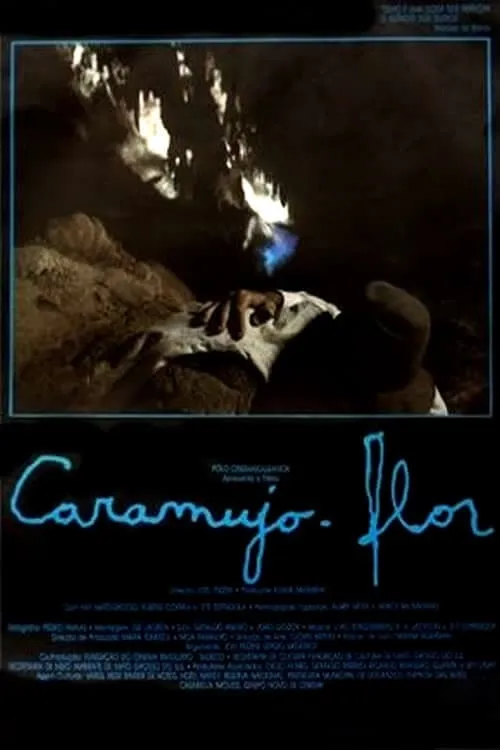 Caramujo-Flor (фильм)