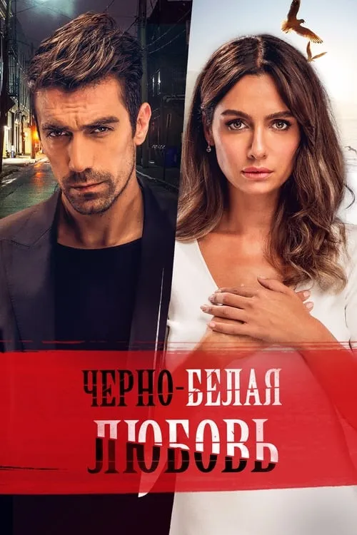 Чёрно-белая любовь (сериал)