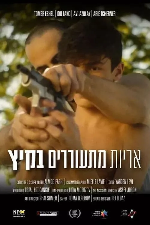 אריות מתעוררים בקיץ