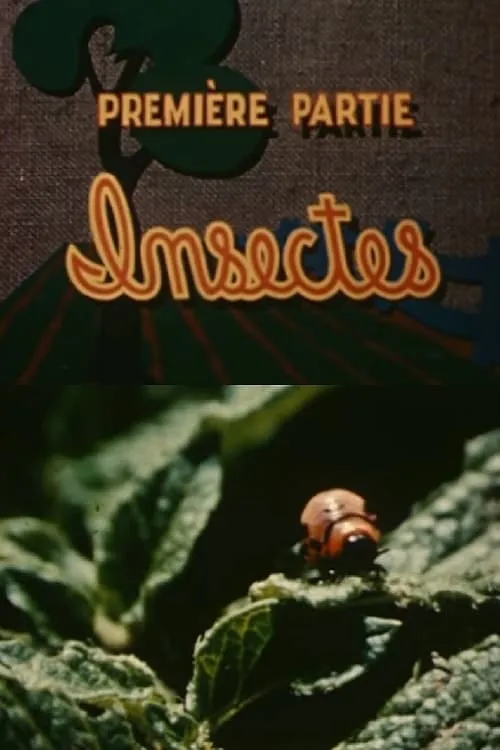 Les ennemis de la pomme de terre: Insectes