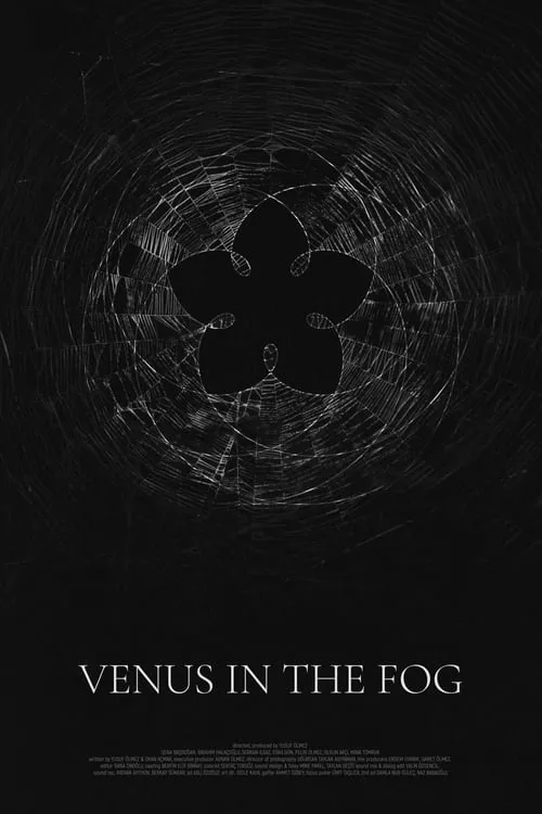 Venus in the Fog (movie)