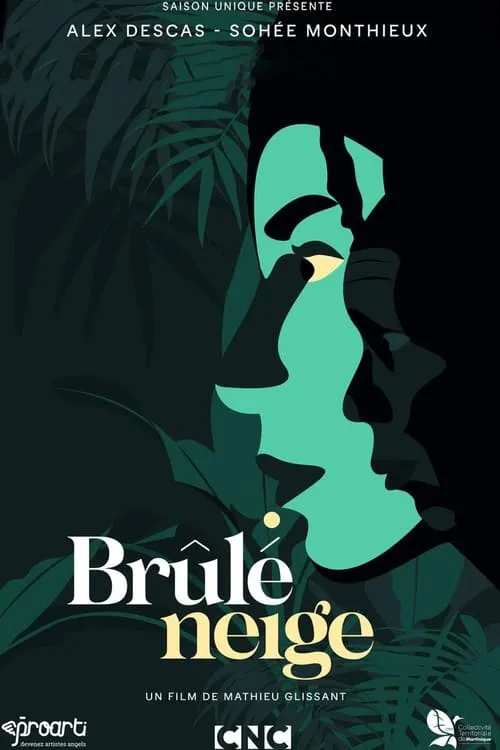 Brûlé neige (movie)