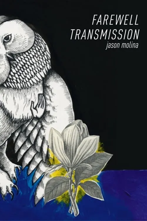 Jason Molina - Farewell Transmission (фильм)