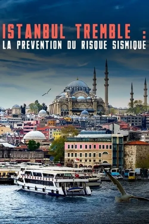 Istanbul tremble : La prévention du risque sismique (фильм)